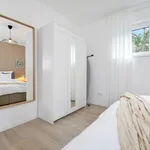 Miete 1 Schlafzimmer wohnung von 50 m² in Bielefeld