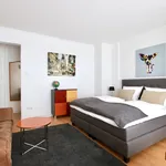 Rent 1 bedroom apartment of 31 m² in Cologne