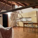 Rent 1 bedroom apartment of 50 m² in conegliano