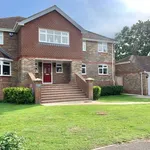 Rent 5 bedroom house in South East England