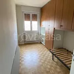 Rent 4 bedroom apartment of 110 m² in Milano