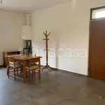 Rent 4 bedroom apartment of 77 m² in Ancona