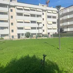 Rent 4 bedroom apartment of 130 m² in Cinisello Balsamo