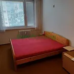 Rent 4 bedroom apartment of 63 m² in Praha 11