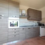 Rent 5 bedroom house of 140 m² in Arezzo