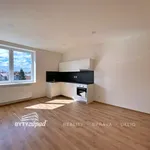 Pronajměte si 2 ložnic/e byt o rozloze 58 m² v Pilsen