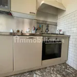 Rent 5 bedroom apartment of 110 m² in Siena