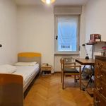 Rent a room in Trento