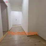 Rent 3 bedroom apartment of 56 m² in Havířov