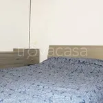 Rent 2 bedroom apartment of 50 m² in Verona