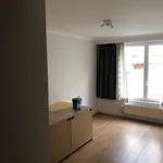 Entre l'Avenue Louise et les Etang d'Ixelles, dans un immeuble de standing, splendide appartement 2 chambres avec très grandes terrasse plein sud avec vue sur jardin, feu ouvert, 1sdb & 1sdd, cuisin