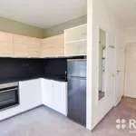 Rent 1 bedroom apartment in Brno