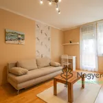 Rent 2 bedroom apartment of 42 m² in Debrecen