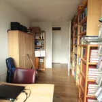 Rent 2 bedroom apartment of 100 m² in groningen