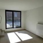 Rent 1 bedroom apartment of 71 m² in WILLEBROEK