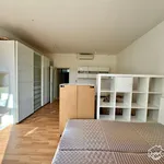 Rent 1 bedroom apartment of 45 m² in Brno