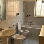 Rent 3 bedroom apartment of 75 m² in Anzio