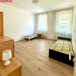 Pronajměte si 4 ložnic/e byt o rozloze 96 m² v dalovice