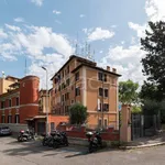 Rent 1 bedroom apartment of 35 m² in Roma