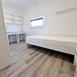 Rent 2 bedroom apartment in Brno