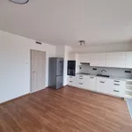 Rent 2 bedroom apartment of 58 m² in Brno