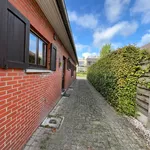 Huur 5 slaapkamer huis van 261 m² in Hoogstraten