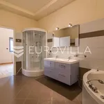 Rent 7 bedroom house of 585 m² in Zagreb