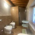 Rent 1 bedroom apartment of 30 m² in Florence