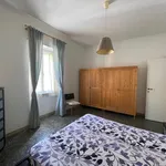 Rent 2 bedroom apartment of 70 m² in Roma