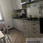 Affitto 4 camera appartamento di 110 m² in Padua