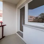 Rent 1 bedroom apartment of 33 m² in Großschirma