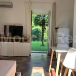 Rent 1 bedroom apartment of 35 m² in Caserta