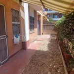 Rent 3 bedroom apartment of 80 m² in Ladispoli