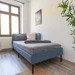 Rent 1 bedroom apartment of 61 m² in Chemnitz