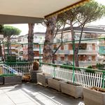 Rent 1 bedroom apartment of 183 m² in ROMA