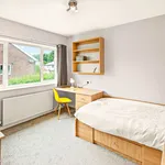 Rent 8 bedroom student apartment in Winchester