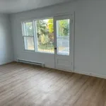  appartement avec 1 chambre(s) en location à Montreal