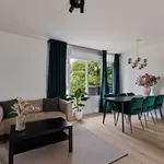 Rent 4 bedroom apartment of 82 m² in Rotterdam