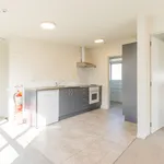 Rent 2 bedroom apartment in Christchurch