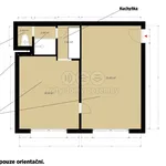 Rent 1 bedroom apartment of 41 m² in Plzeň