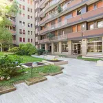 Rent 2 bedroom apartment of 65 m² in milan