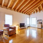 Rent 1 bedroom apartment of 124 m² in Vicenza