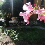 Rent 5 bedroom apartment of 143 m² in Verona