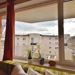 Rent 1 bedroom apartment of 41 m² in Brno-Židenice