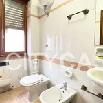 Rent 1 bedroom apartment in Rome