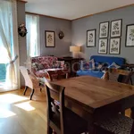 Rent 7 bedroom apartment of 81 m² in Pinzolo