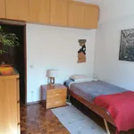 Rent 3 bedroom apartment in Lisbon