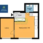 Rent 2 bedroom apartment of 31 m² in Brno