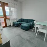 Affitto 2 camera appartamento di 61 m² in Carmagnola