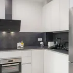 Rent 1 bedroom apartment in madrid